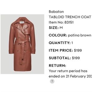 Aritzia Trench Coat